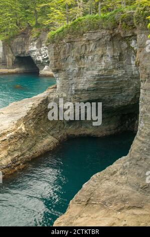 Riserva indiana Makah vicino a Neah Bay, Washington, Stati Uniti. Vista dell'Oceano Pacifico dal sentiero Cape Flattery. Foto Stock