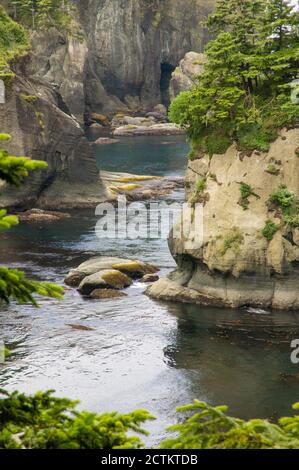 Riserva indiana Makah vicino a Neah Bay, Washington, Stati Uniti. Vista dell'Oceano Pacifico dal sentiero Cape Flattery. Foto Stock