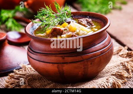 Cucina russa: Zuppa con manzo, funghi forestali e orzo perlato in una pentola di argilla su sfondo di legno d'annata, fuoco selettivo Foto Stock