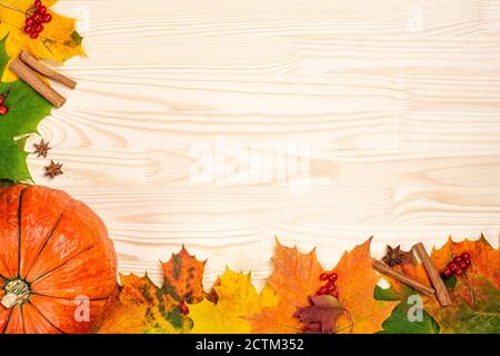 Ancora vita con zucca arancione, foglie cadenti gialle e rosse su sfondo ligneo. Vista delle colorate foglie d'acero autunnali adagiate su una schiena di legno bianco Foto Stock