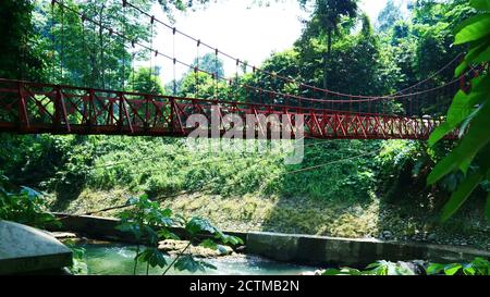 Bogor, Indonesia - 20 ottobre 2019: Ponte sospeso (jembatan gantung) nei Giardini Botanici di Bogor a Giava Occidentale. Foto Stock