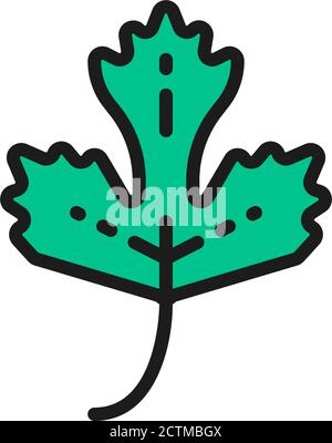 Icona a forma di prezzemolo, erba, piatto di spezie. Isolato su sfondo bianco Illustrazione Vettoriale