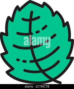 Menta, lattuga, basilico, icona linea di colore piatto alle erbe. Isolato su sfondo bianco Illustrazione Vettoriale