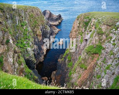Scogliere in un'insenatura di mare, o geo, su Gloup Ness vicino a Gloup sulla costa nord di yell a Shetland, Scozia, Regno Unito. La roccia in questa zona è del Sou yell Foto Stock