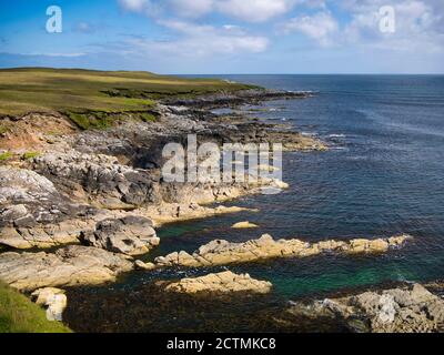 Suggestivo scenario costiero che mostra strati rocciosi inclinati ed erosi intorno al Ness di Queyon, vicino a Otters Wick sull'isola di Yell a Shetland, Regno Unito Foto Stock