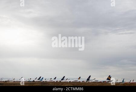 Teruel, Spagna. 23 Settembre 2020. Gli aerei Lufthansa sono parcheggiati all'aeroporto di Teruel insieme a quelli di altre compagnie aeree. L'aeroporto di Teruel è utilizzato come ampio parcheggio per gli aeromobili di varie compagnie aeree internazionali, il cui traffico aereo è diminuito drasticamente a causa della pandemia di Corona. Credit: Javier Escriche/dpa/Alamy Live News Foto Stock