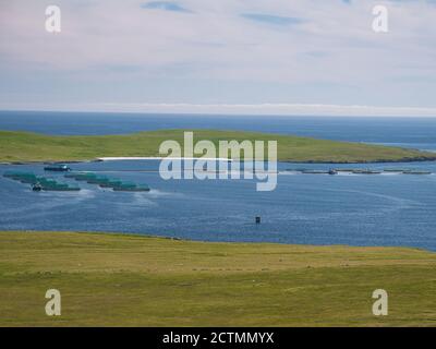 Acquacoltura / allevamento ittico a Baltasound sull'isola di Unst in Shetland - un arcipelago di isole nel a nord del Regno Unito Foto Stock