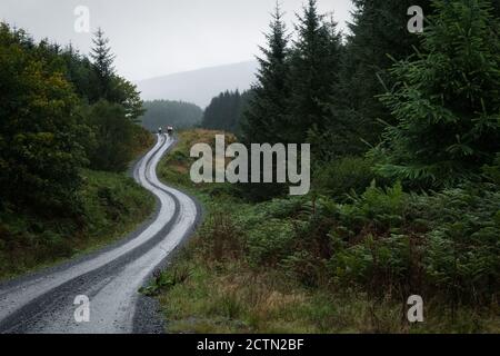 I ciclisti vestiti con colori vivaci si divertono in bicicletta in ghiaia nel Galloway Forest Park, Scozia Foto Stock