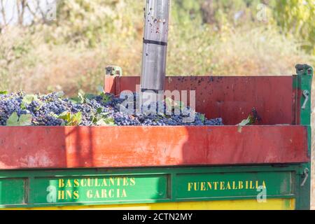 Il campionatore automatico per camion estrae l'uva dalla vendemmia a. analizzare il loro livello di glucosio e l'acidità per conoscere l'alcolizzato grado Foto Stock