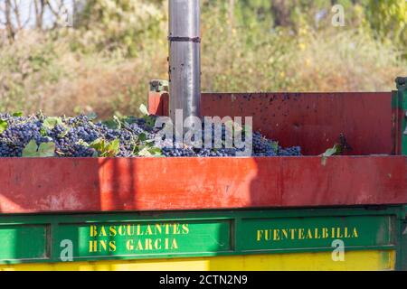 Il campionatore automatico per camion estrae l'uva dalla vendemmia a. analizzare il loro livello di glucosio e l'acidità per conoscere l'alcolizzato grado Foto Stock