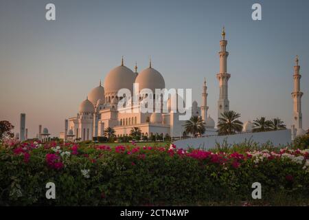 Moschea Sheikh Zayed Geand ad Abu Dhabi Foto Stock