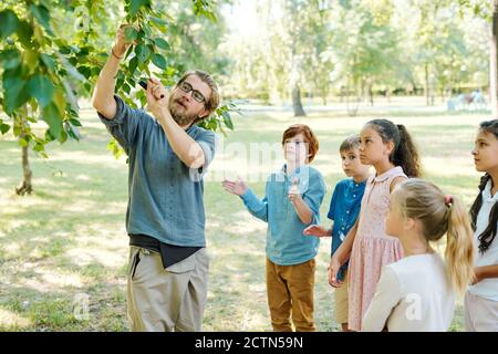 Giovane insegnante di biologia in bicchieri in piedi all'albero nel parco e mostrare twig ai bambini in classe all'aperto Foto Stock