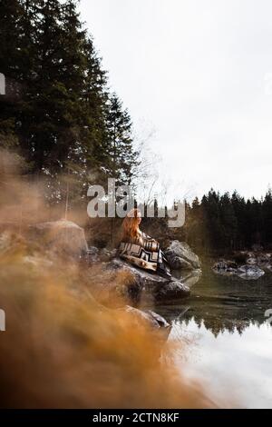 Vista laterale di una tranquilla e irriconoscibile donna turistica seduta sulla mussosa pietra vicino alla riva del lago e contemplare la natura in un autunno cupo giorno Foto Stock