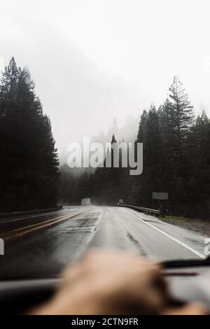 persona irriconoscibile che guida l'auto lungo la strada bagnata circondata da conifere alberi in giorno di nebbia Foto Stock