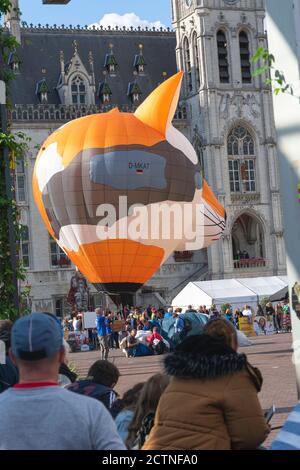 Sint Niklaas, Belgio, 08 settembre 2019, mongolfiera in miniatura a forma di testa di volpe sul mercato principale Foto Stock