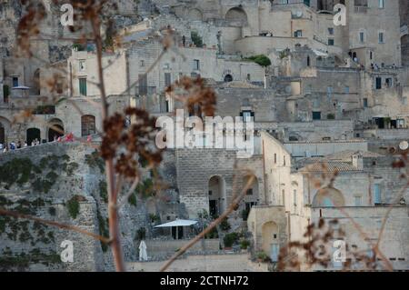 Didascalia emozionale del sito UNESCO Sassi del paesaggio urbano di Matera e fiori marroni secchi selvatici in primo piano Foto Stock