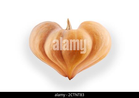 Zucca a forma di cuore isolata su sfondo bianco. Per il design delle vacanze, Halloween o San Valentino. Foto Stock