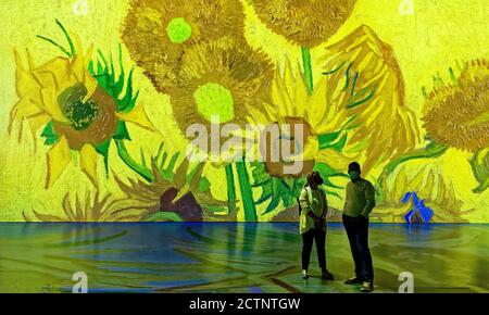 Persone alla coinvolgente mostra Imagine Van Gogh a Quebec City, Canada Foto Stock