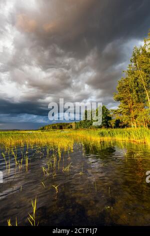 Incredibile tramonto ai laghi di Braslaw con il cielo nuvoloso. Distretto di Braslaw, Bielorussia. Foto Stock