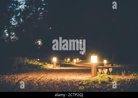 Luci notturne scintillanti in un luogo di nozze Norfolk chiamato Sale lettura Foto Stock