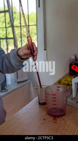 Laboratorio di una cantina nella zona di la Manchuela in Albacete (Spagna) dove il mosto della vendemmia Bobal è in fase di analisi per determinare la sua alcoh Foto Stock