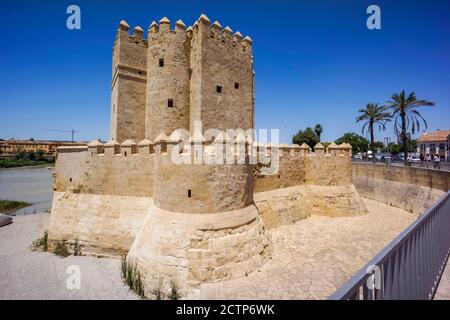 torre de Calahorra, Cordoba, Andalusia, Spagna Foto Stock