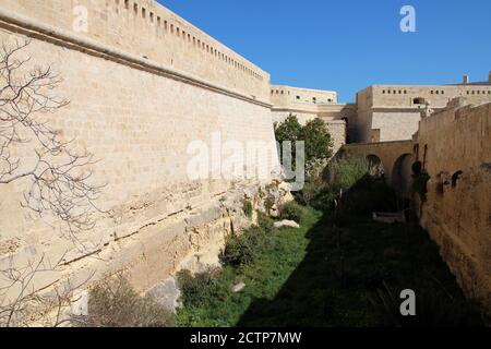 forte di saint-elmo a la valletta (malta) Foto Stock