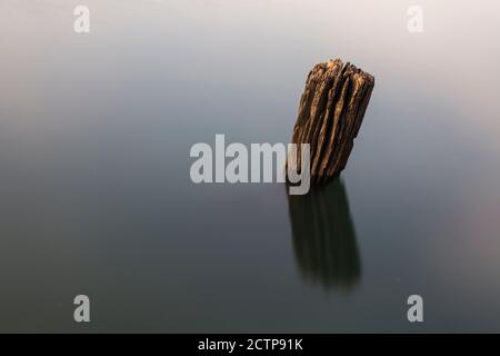 Vecchio palo di legno in acqua Foto Stock