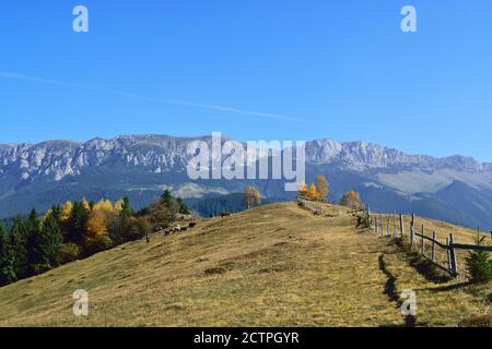 Vista sui monti Bucegi Foto Stock