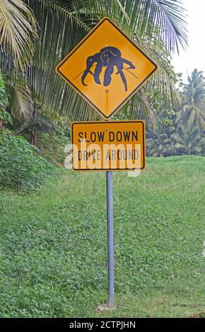 Sign warning of Robber Crabs on road  Christmas Island, Australia        July Stock Photo