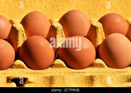 uova nella confezione. Uova. Pronto per cucinare uova di pollo. Uova di pollo biologiche naturali in confezione di cartone Foto Stock