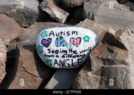 Roccia dipinta con messaggio ispiratore circa autismo. Foto Stock