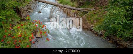 Vista panoramica sul fiume Lesach con alberi caduti e argini ben vegetati in Carinzia, Austria Foto Stock