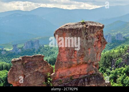 Formazioni rocciose naturali uniche da vicino, rocce di Belogradchik, Bulgaria Foto Stock