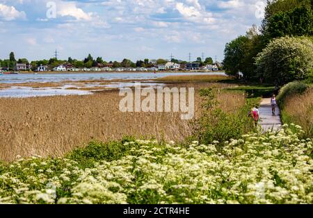 Una tranquilla passeggiata lungo il fiume Foto Stock