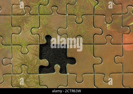 Puzzle manca un pezzo Foto Stock