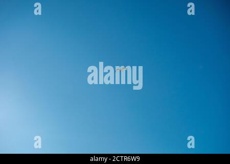 Un cielo blu chiaro con un gabbiano che volano nel Centro del telaio Foto Stock