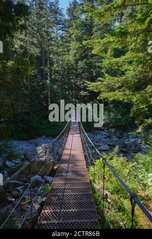 Il ponte sospeso in metallo offre agli escursionisti un modo semplice per attraversare un fiume vicino all'inizio del percorso dei laghi Bedwell nel Parco Provinciale di Strathcona, BC Foto Stock