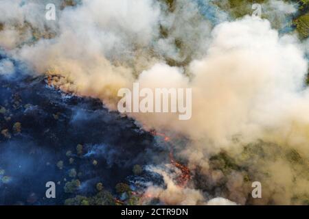 Fumo e fiamma natura fuoco foresta dopo stagione secca, vista aerea dall'alto dal drone. Foto Stock