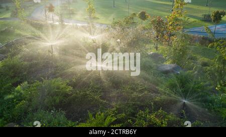 Annaffiatura automatica nel parco all'alba Foto Stock