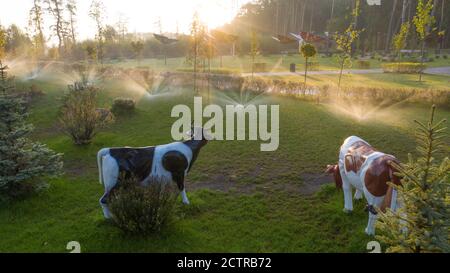Annaffiatura automatica nel parco all'alba Foto Stock