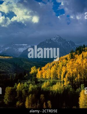 Morning Light, Mount Sneffels, Uncompahgre National Forest, Colorado Foto Stock