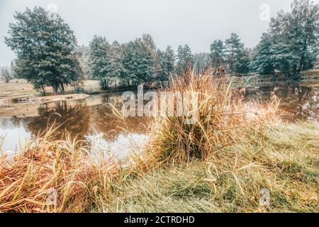 bella nebbia mattutina su un lago in baviera Foto Stock