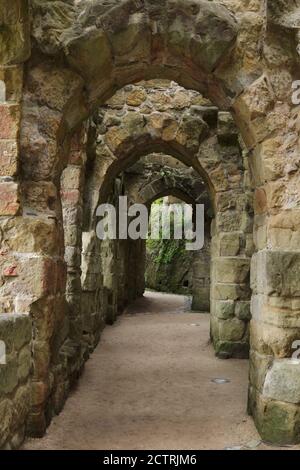 Romantiche rovine medievali dell'ex chiostro del monastero nel monastero di Oybin in Sassonia, Germania. Foto Stock