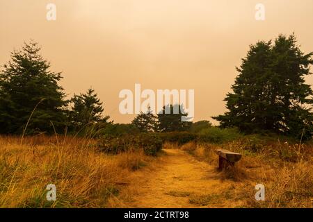 Il fumo dagli incendi dell'Oregon crea una qualità dell'aria malsana a Washington Foto Stock