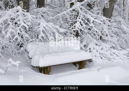 Snowy bench near Onstmettingen on the Swabian Alps, Zollernalb District, Baden-Wuerttemberg, Germany Stock Photo