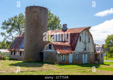 Un'antica casa colonica abbandonata con un alto silo di mattoni e un grande fienile con soffitto di stagno arrugginito. Questo antico complesso di edifici in discesa e' circondato da gr Foto Stock