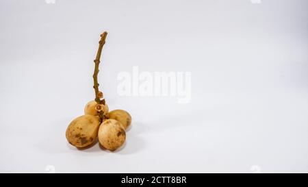 Stelo di frutta di Lanzone su sfondo bianco Foto Stock