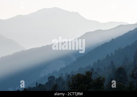 Morgenstimmung im Val MInger, Schweizer Nationalpark Foto Stock