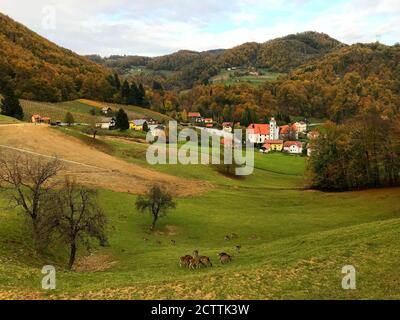 Paesaggio IIdillico in Slovenia. Piccolo villaggio accogliente. Colline panoramiche. Fitta foresta autunnale. Mandria di cervi che pascolano su prato verde. Bella natura. Foto Stock